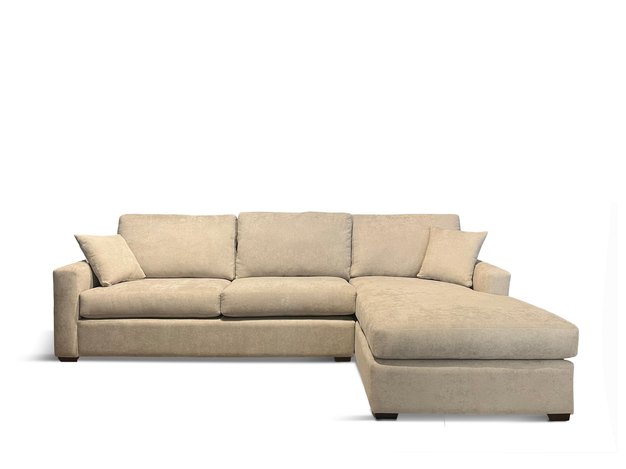 Blaine Sectional / Sofa