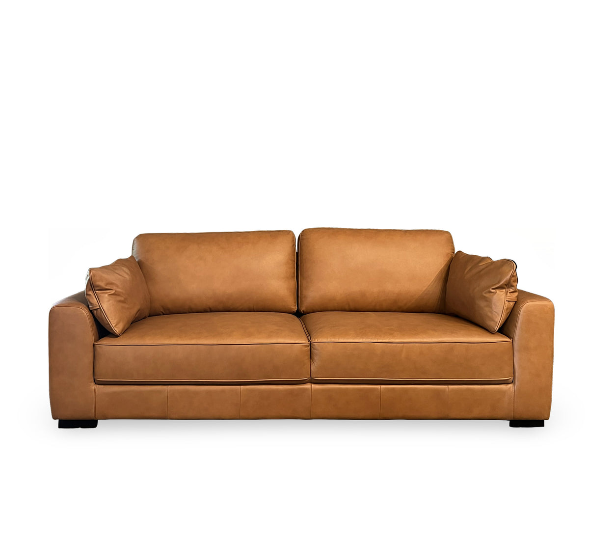 Evan Leather Sofa
