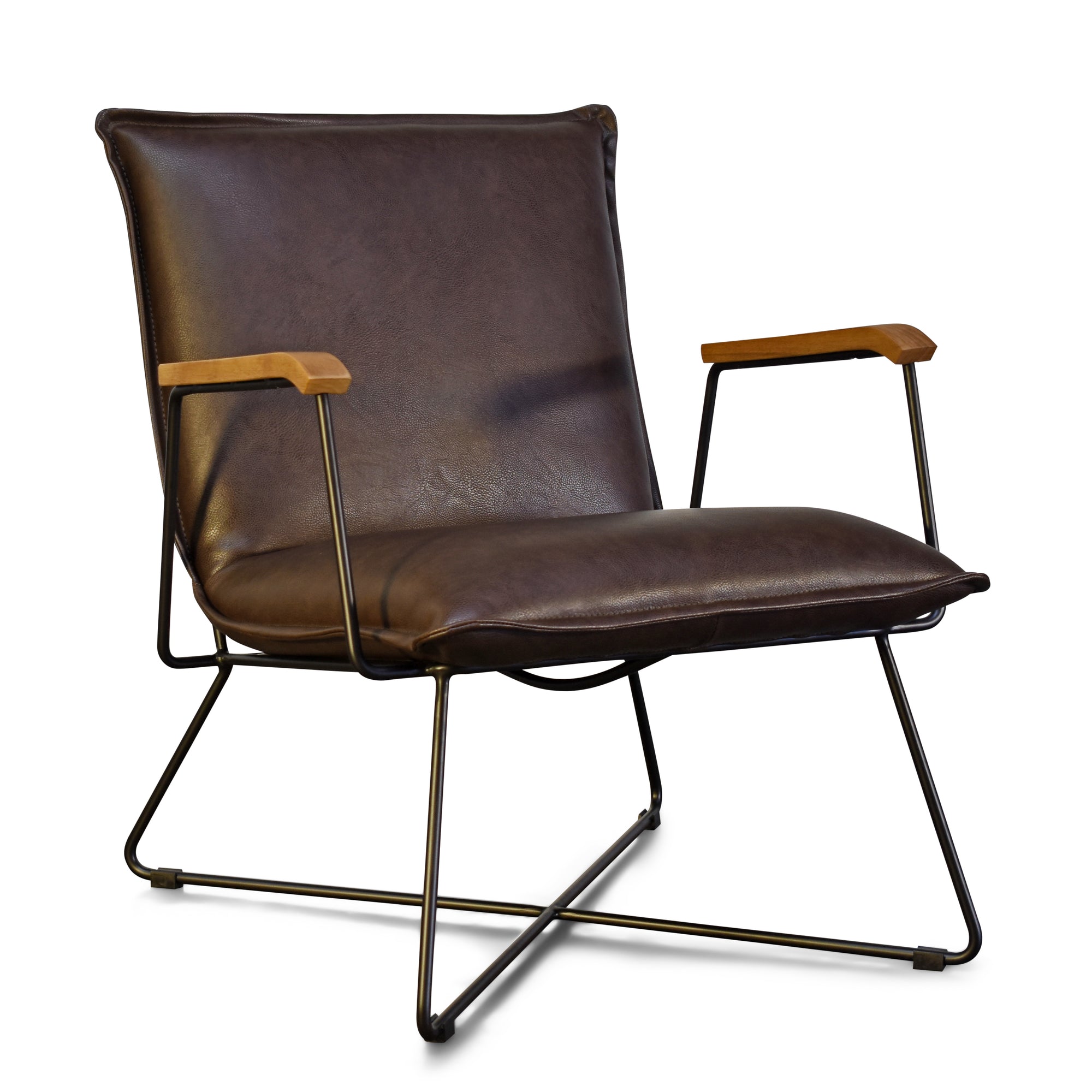 Sydney Modern Lounge Chair